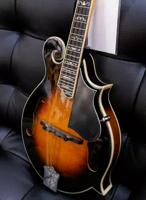 Store Special Product - Gold Tone - GM-35 F-Style Mandolin